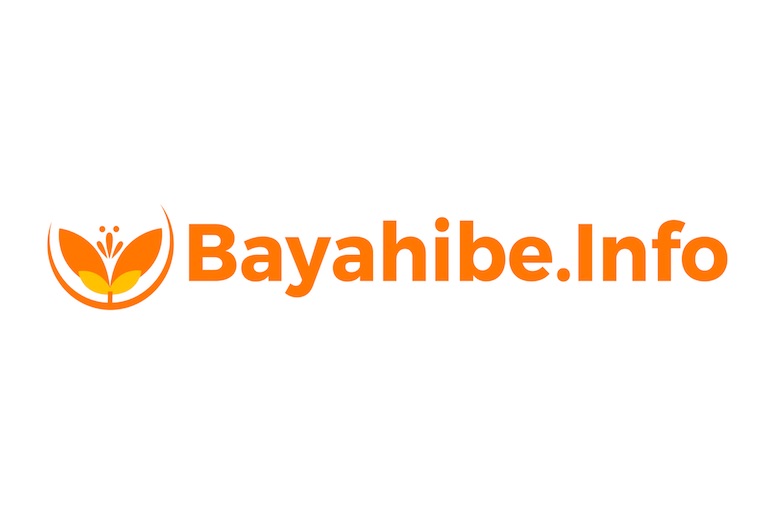 www.bayahibe.info